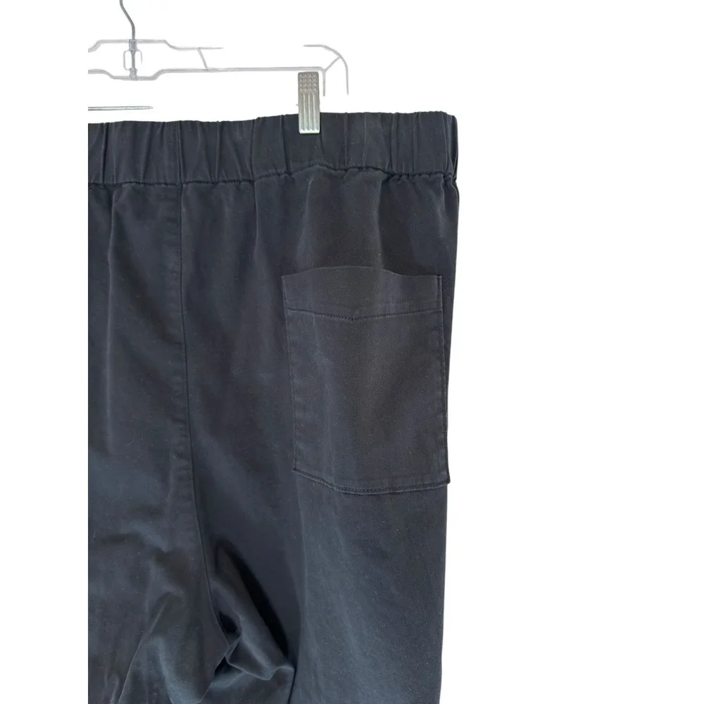 J.Crew Astrid Chino Pant Black Plus Pull On Stretch Casual Wide Leg‎ Size 2X